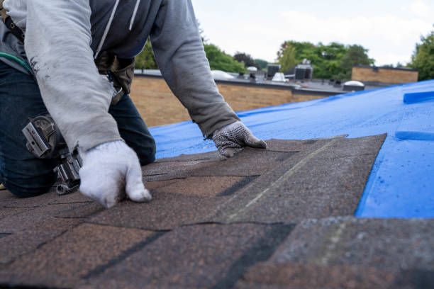 Best Shingle Roofing Installation  in Walled Lake, MI